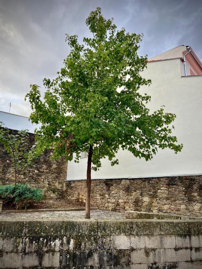 Cantinho Do Castelo Bragança Exterior foto